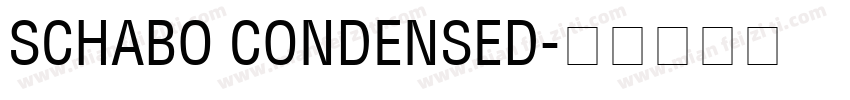 SCHABO CONDENSED字体转换